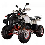 Квадроцикл A-qvadro Monster Forest 150