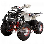 Квадроцикл A-qvadro Monster 125M